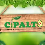 careta_CIPALTO