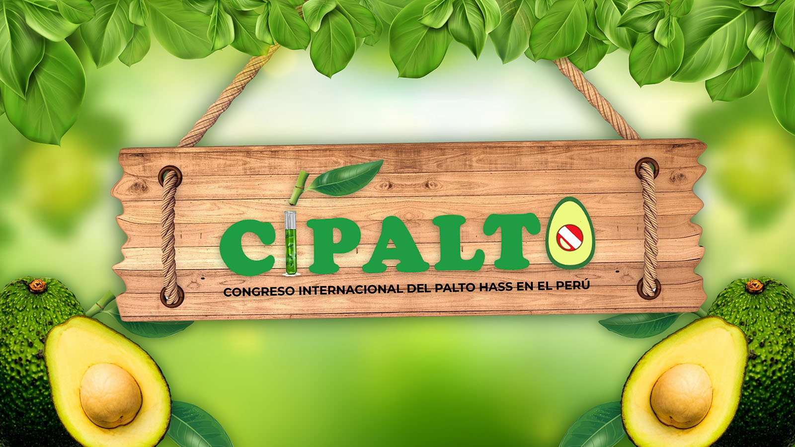 careta_CIPALTO