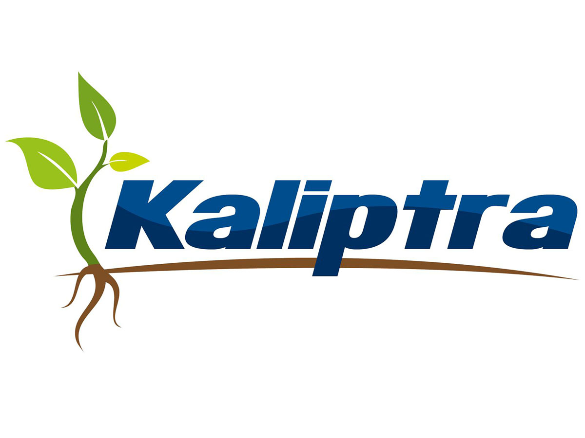 04 - Kaliptra