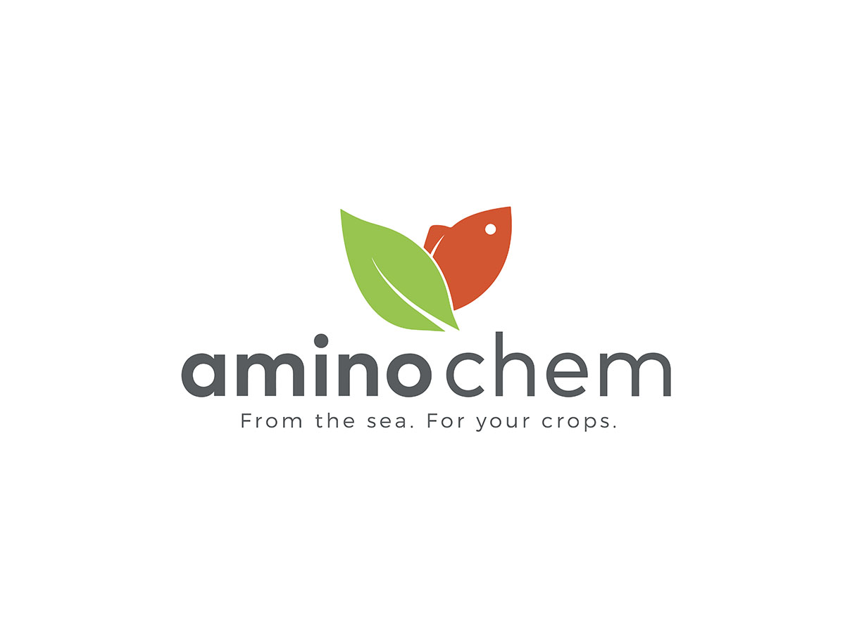05 - AMINOCHEM