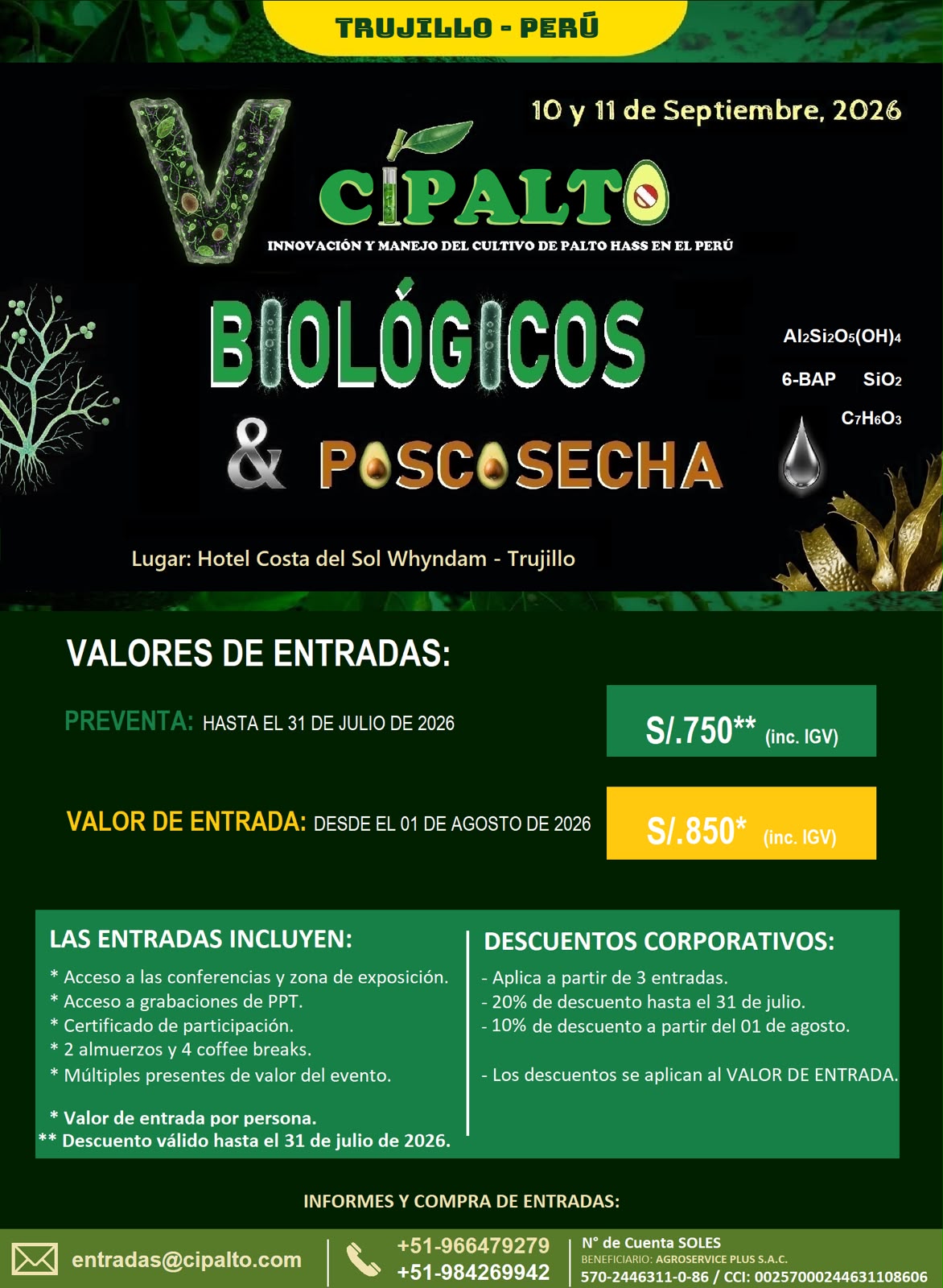 Cipalto 2026 New Flyer 27_03