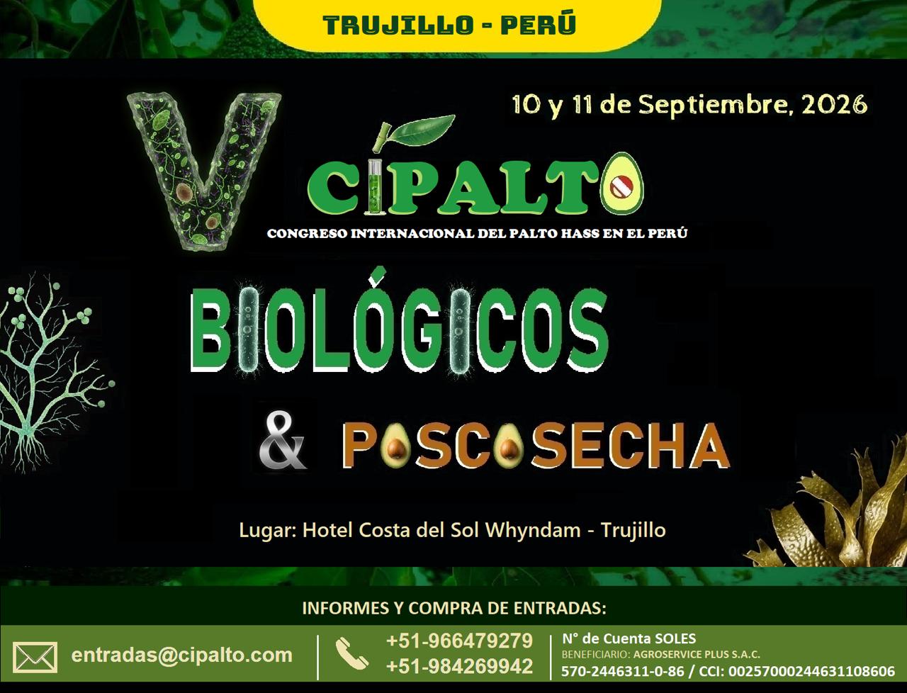 Cipalto agosto 2026